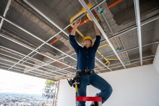 Best Plumbing Services Near Me  in Seabrook Farms, NJ